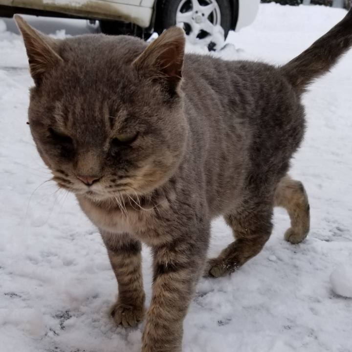 12a5e29d f85c 4cbc b52f e2ceef8b0a31 1548295857347