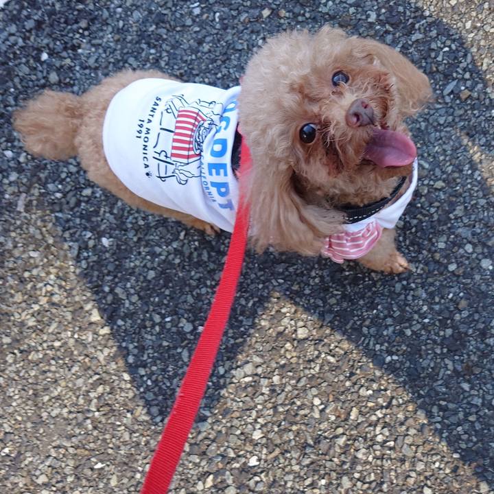 12a6073d 205f 4ea1 9caa f62a06228c62 1730632527496