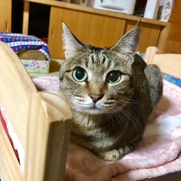 12a65e3d ec6d 40e5 8a37 0d3ecdedebd6 1526222592379