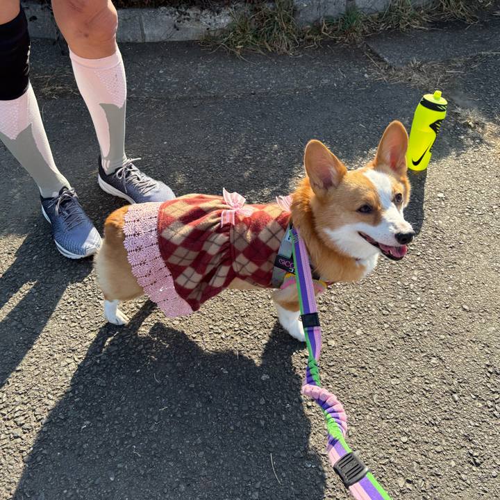 12a69330 42b5 4a1e 85cb d5da1a7a6cd0 1771134130084