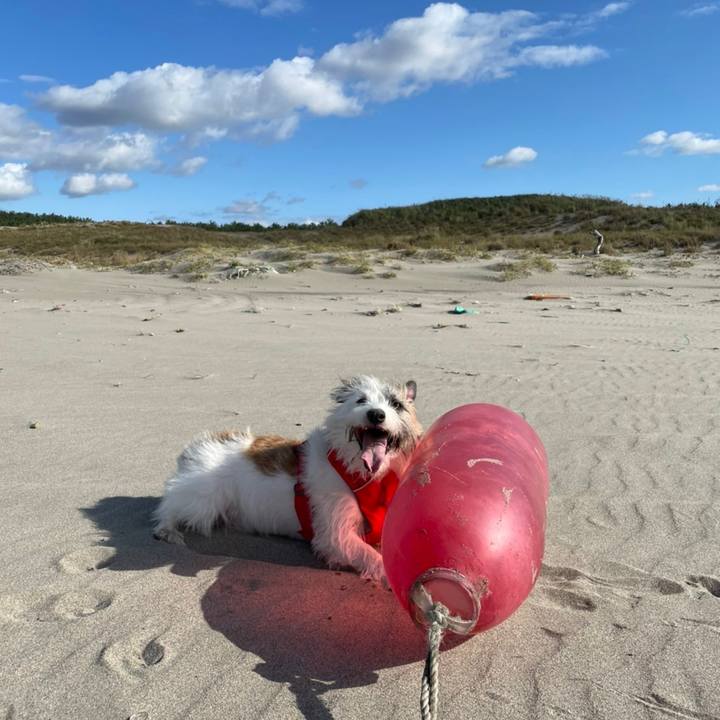 12a69f4b 5d4e 4d7d b4c7 8546f34023cb 1666265216276