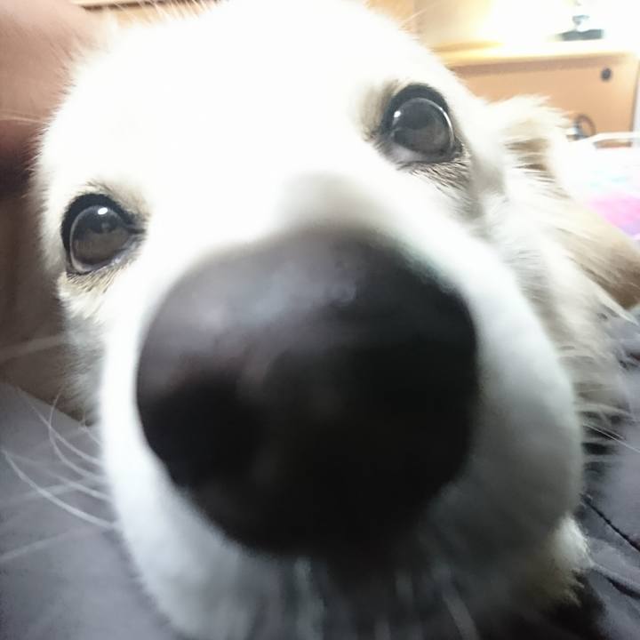 12a6be8f fd7b 40c1 8e9d 5adf6d04ec19 1517691544024