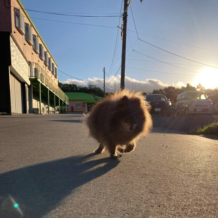 12a6ecef 1449 4486 9e2f ef211fbd3678 1726094543040