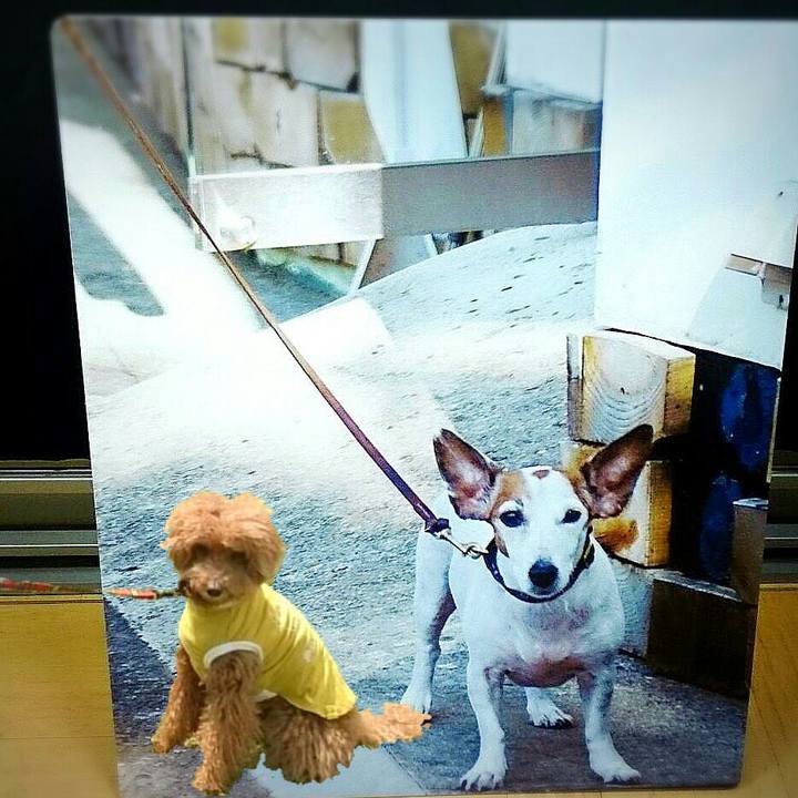 12a6f825 a814 4043 b0cd cdb03841848a 1527250924106