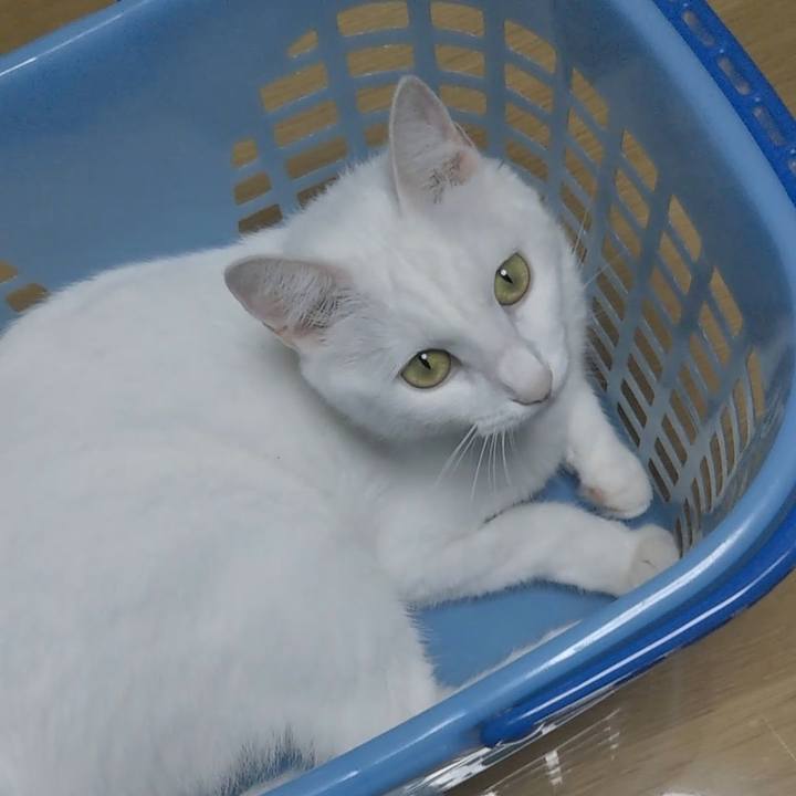 12a718d6 f0c0 4acc aa2f 26d638d266ea 1625611735335