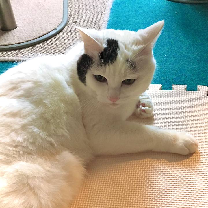 12a71eb6 d30b 4013 a600 973ec216c430 1614061108760