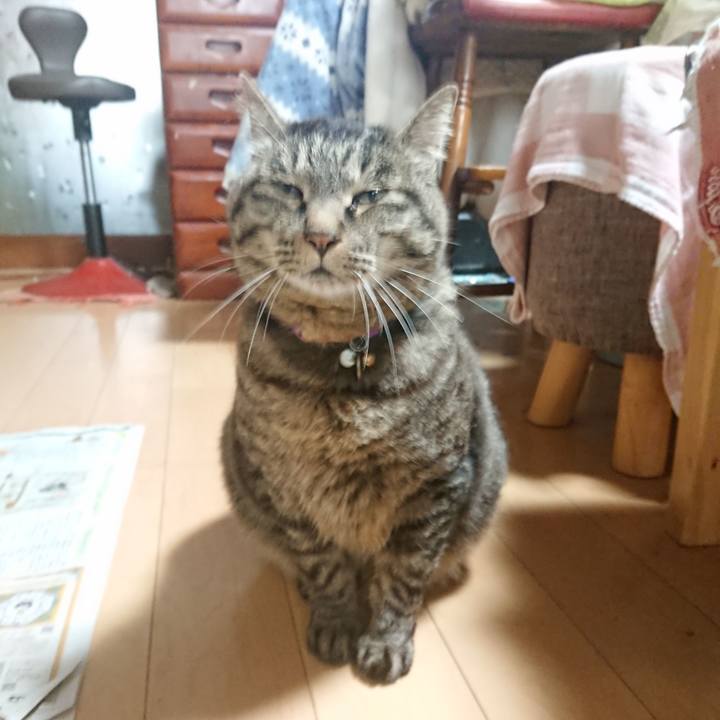 12a74d13 4665 455d 8fd4 0ebc30d0b230 1652653125289