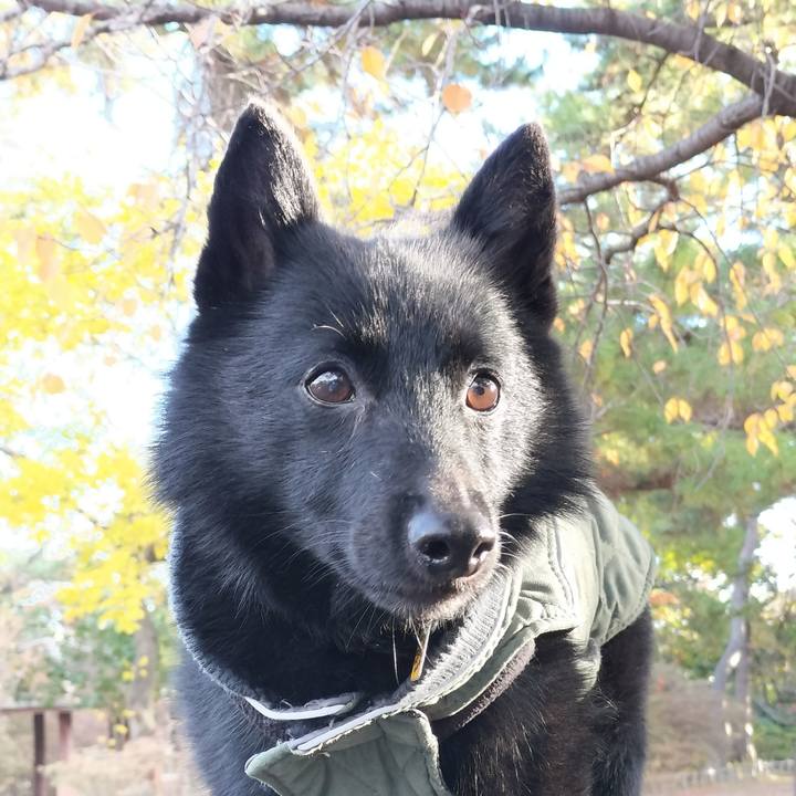 12a75a5f 4cf7 4395 8e01 3584b97d3f2b 1764390538932