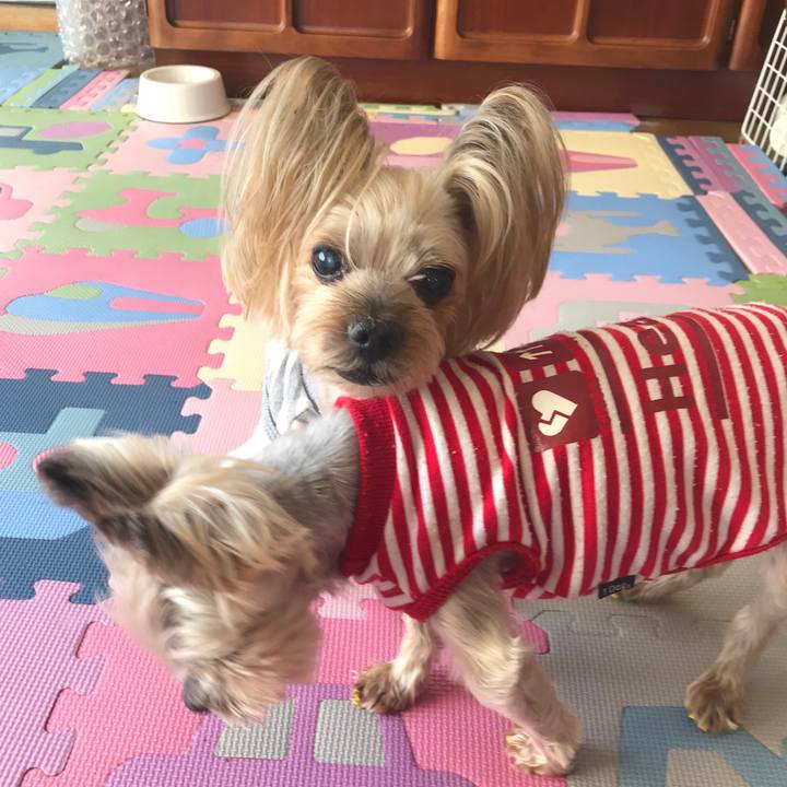 12a79492 e3c8 4bdd 8487 c2adf94f58be 1682330301307