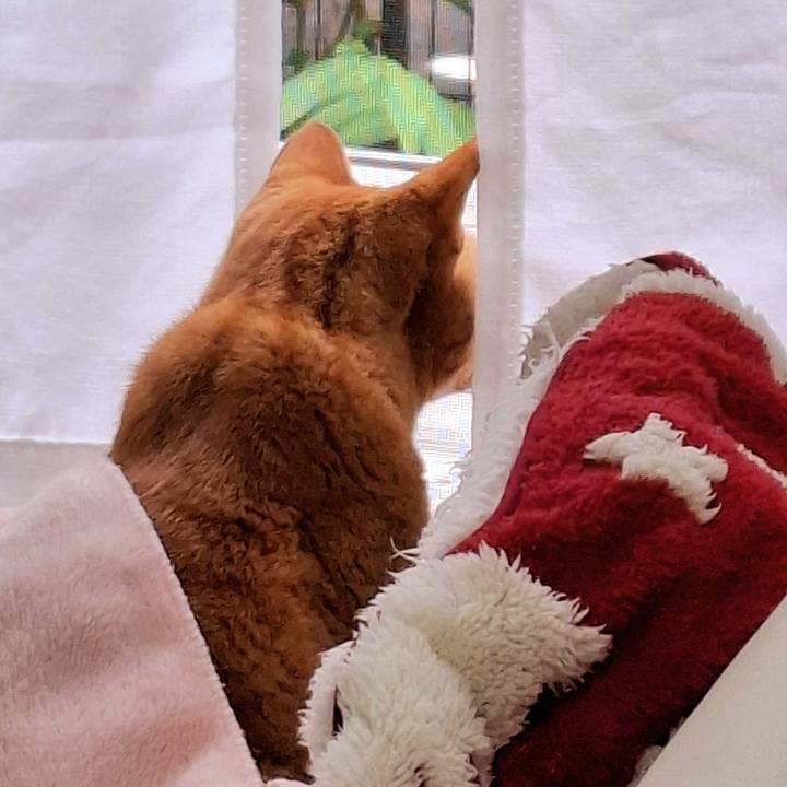 12a79dbd c28e 4c94 b5f1 98b04852b22e 1731970537445