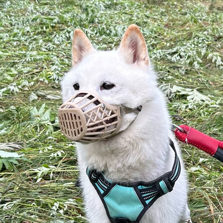 12a7b299 5f0c 4266 80d1 bb63cd1bc1a7 1687992500508