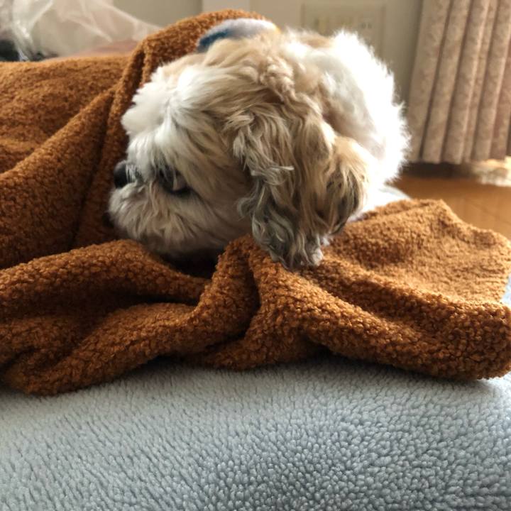 12a7bc8e d05e 4636 865b e565922e0afd 1579556916468