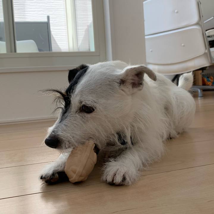 12a804d8 6686 43ec a995 35466be9fc1b 1662946446920