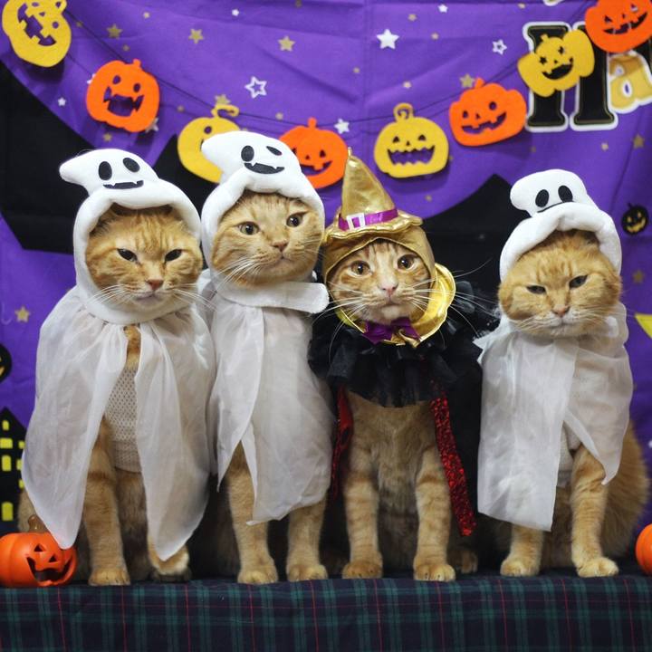 12a82d4f 94a9 46c2 9d34 6c4a563babc3 1696778898715