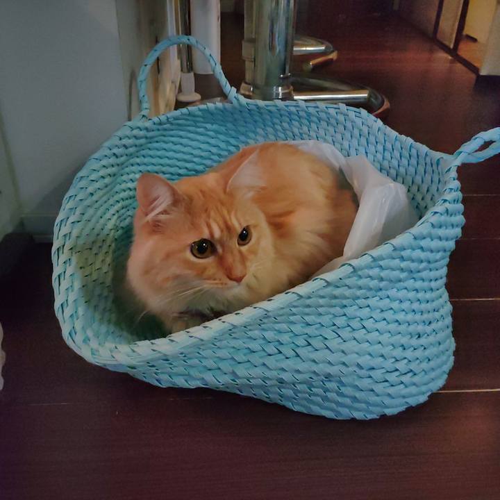 12a83496 f718 43dd 9621 c55970f592a5 1668386160776