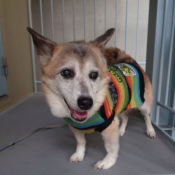 12a84479 6f61 46cc a700 fbc9a3a022a3 1737203416772