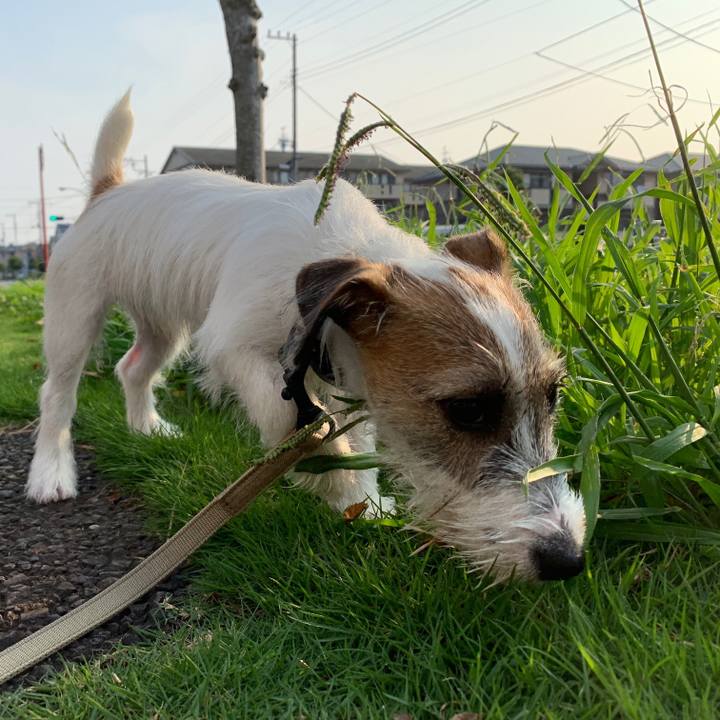 12a85077 8a70 4fd0 8b4a a49a987964b5 1564570907555