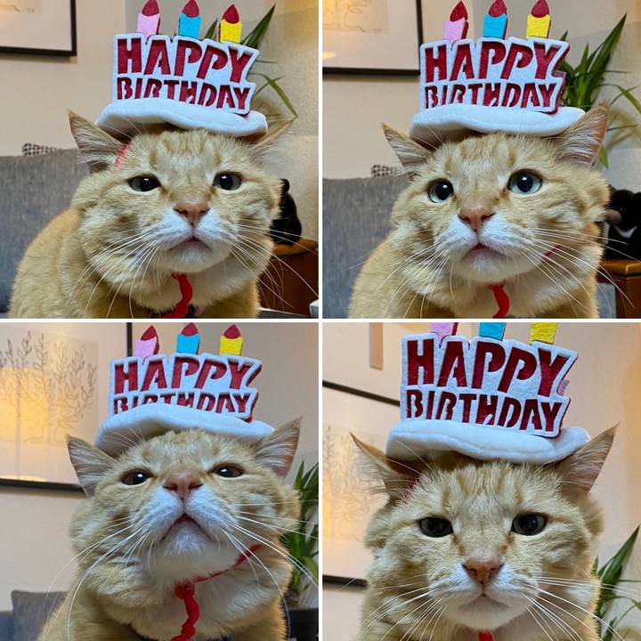 12a85b6a 3669 45f1 bb08 e5a53a9e0552 1680823417615