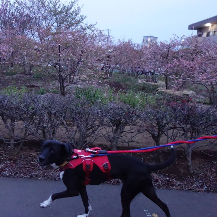 12a87fa8 6229 41cd a7ed 5f9ab57f35ba 1586956270858