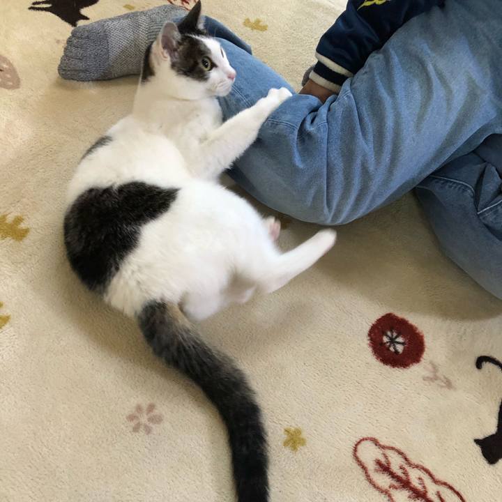 12a885b2 03c7 47d7 9d50 e8667c9b5d2f 1704276442544