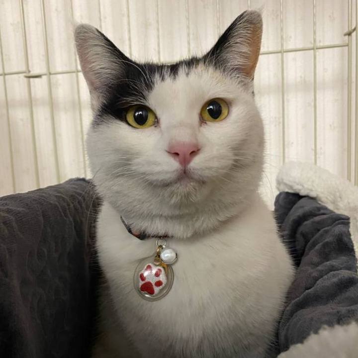 12a8a298 dd69 4378 a2bb 1db8bb1ae291 1674140873335