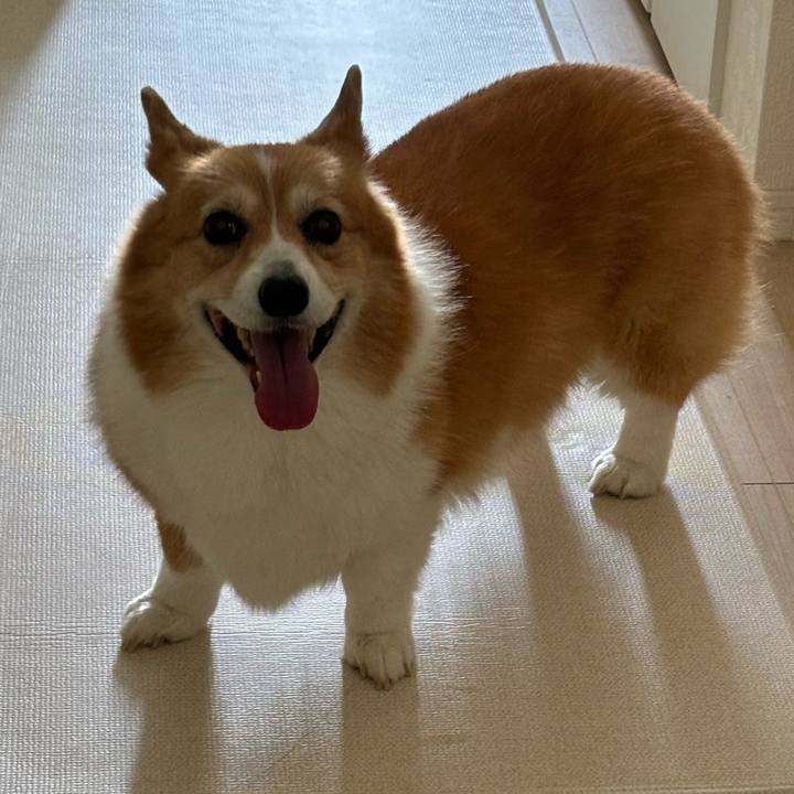 12a90d41 2769 4d0e 99d2 3328caa2abed 1727313891388