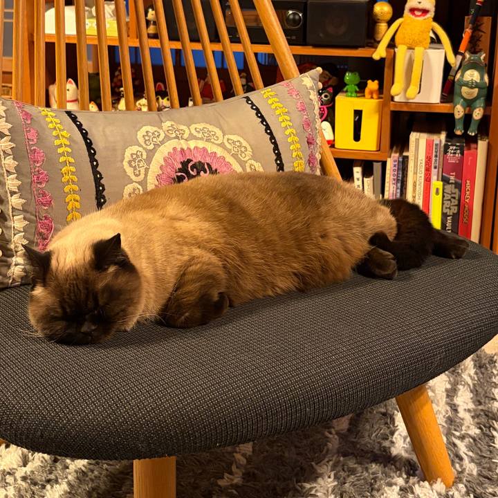 12a91a52 a97b 42a1 883c 7c8a0e7e2084 1772710794584