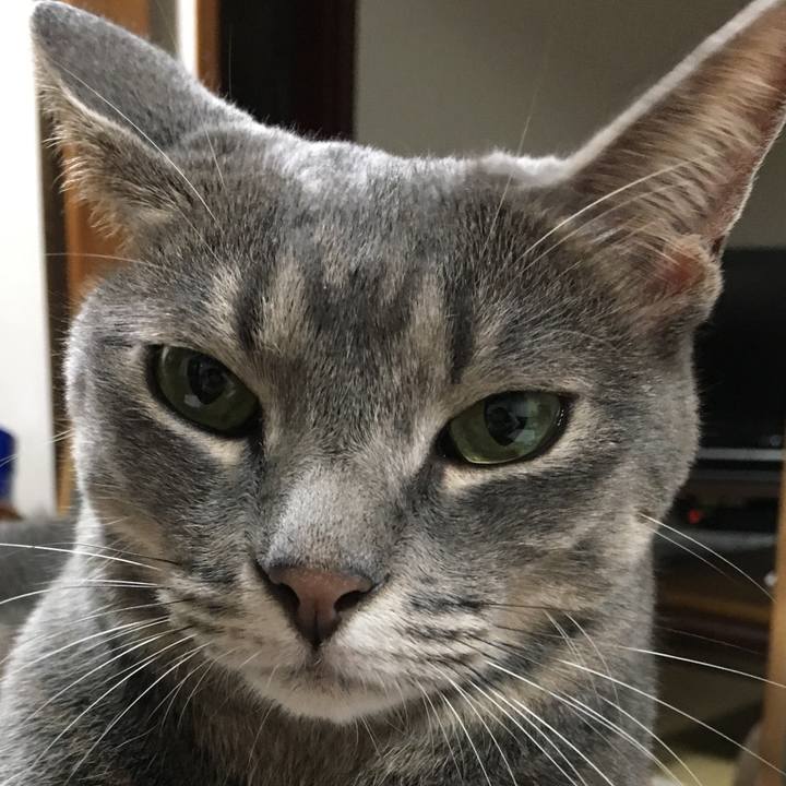 12a92ef9 d4a6 43b1 9fe5 2eef236c6f37 1534427043792