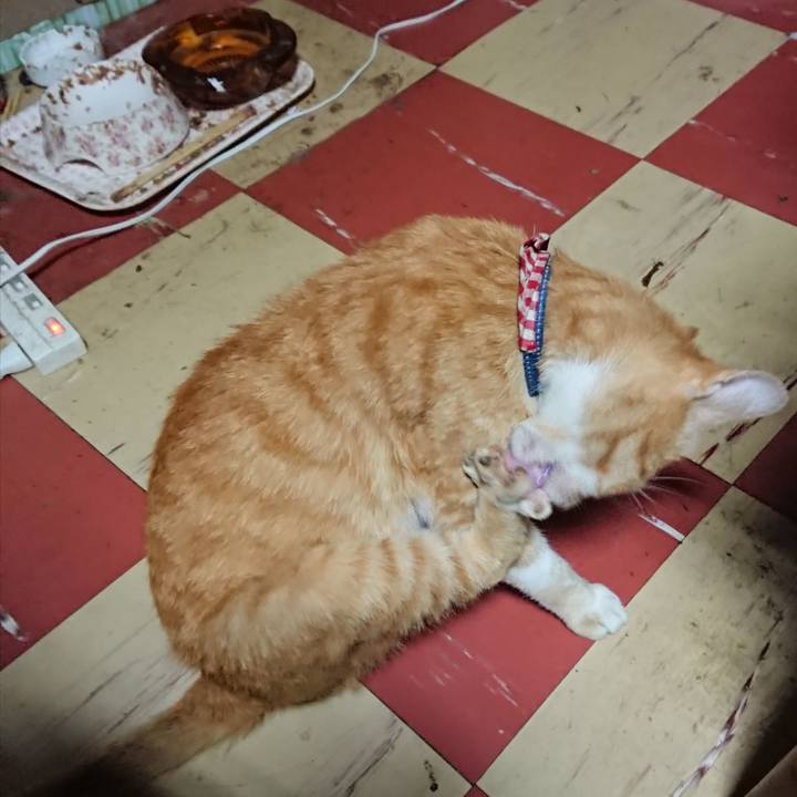 12a9495e 5a87 44be 80e8 2af5e3cab89f 1559936173043