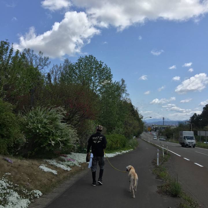 12a97c8c e5ba 46f7 a3cb 75ffaa25af62 1589699557836