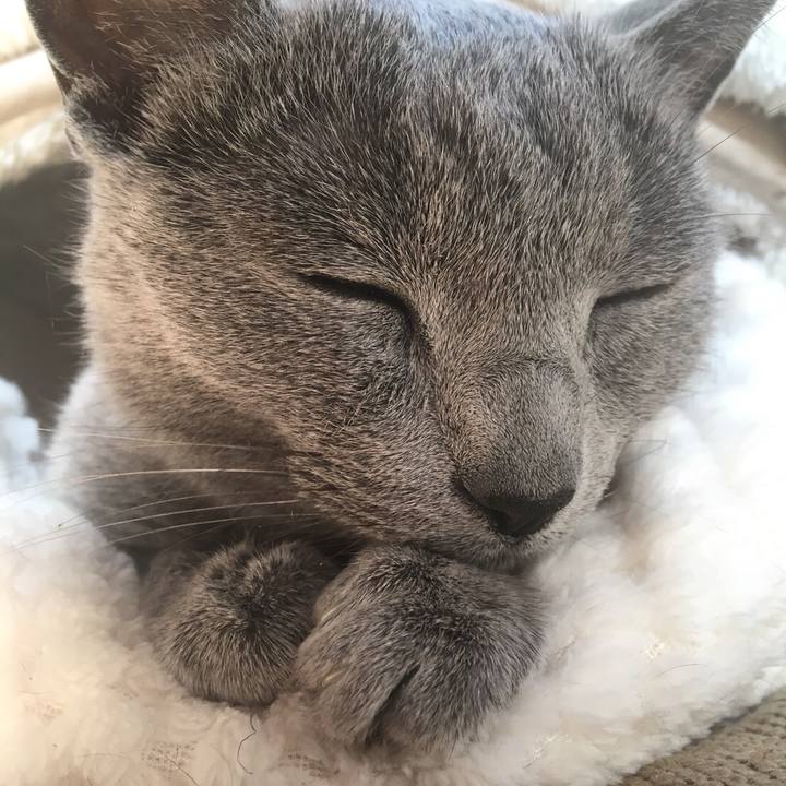 12a9ca39 24ec 4fec af84 7a9b2e248df1 1519860414243