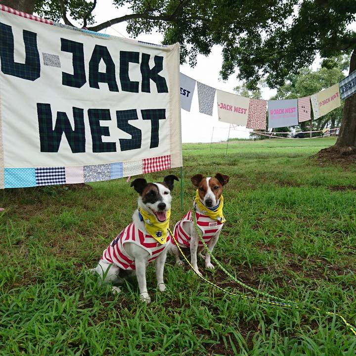 12a9d740 8e95 422f 9a47 3db194807e92 1567295579402