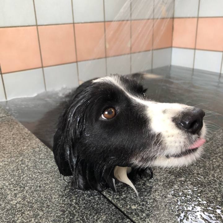 12a9dab6 f556 4e21 b467 6a451e591add 1540185329627