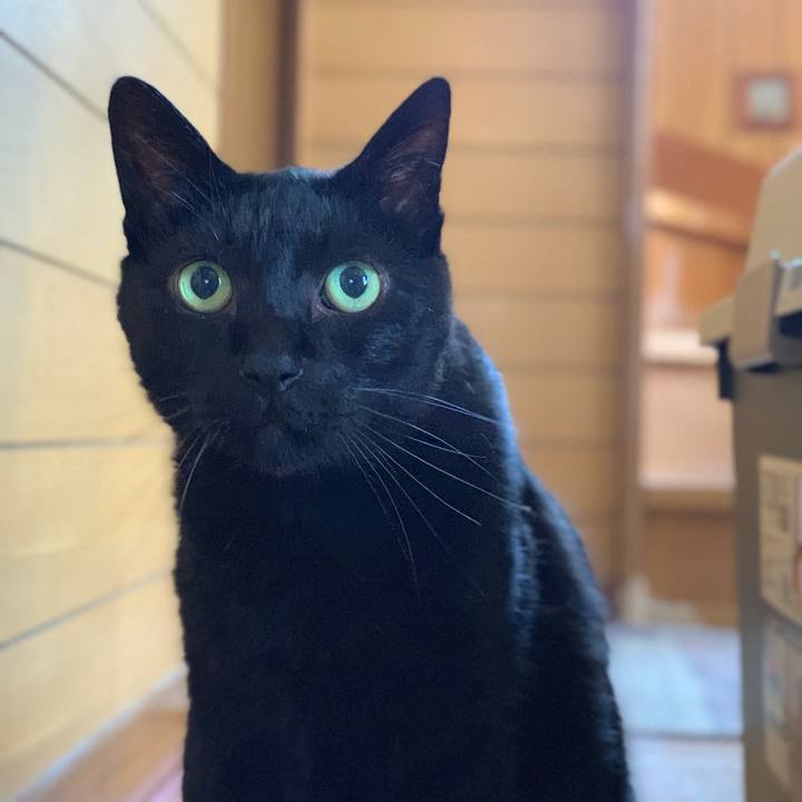 12a9df3f 1e6c 4729 bbd8 974bbd8e128b 1560301921216