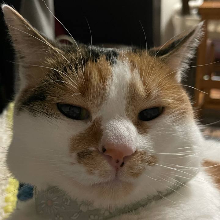 12aa35ff c373 4ca0 a05c 437fc4f5269e 1674307422604