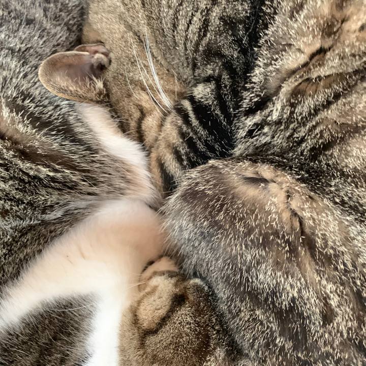 12aa479c 2660 496f 9a03 f02697e5fa47 1552611465725