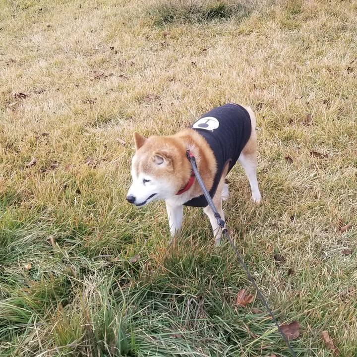 12aa79c9 2c30 4889 a6d9 51b2b4c41720 1731644103509