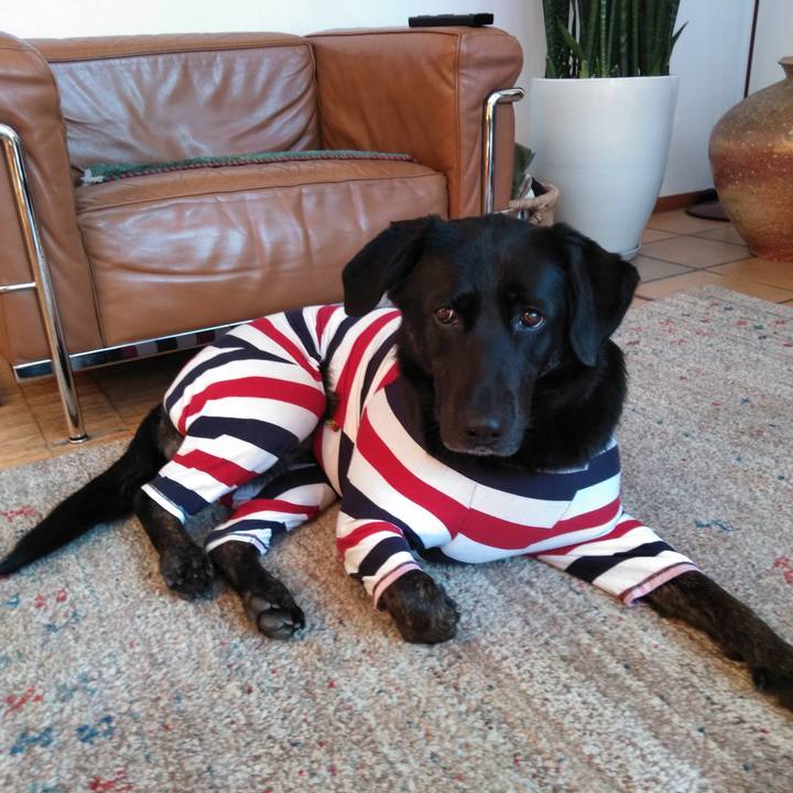 12aa7df9 c2b5 4082 abb4 32d8709ef8ea 1582410389837