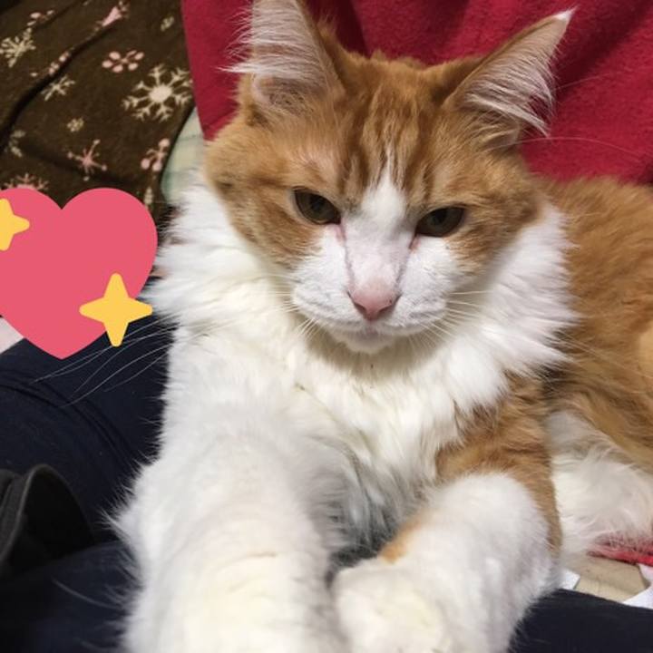 12aa8a2f e6cd 4020 a65b 6695e4099d13 1545933397336