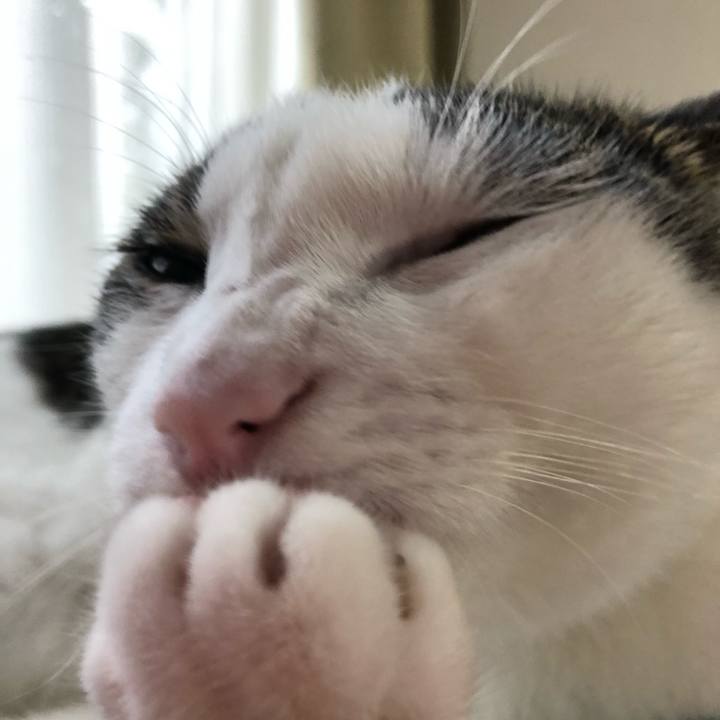 12aac18e 06f8 4573 af78 084395429ca6 1594610724562