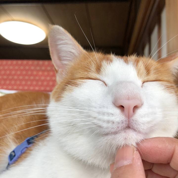 12aad67d 50ae 455f bb3e 261a822ab8ff 1538276043924