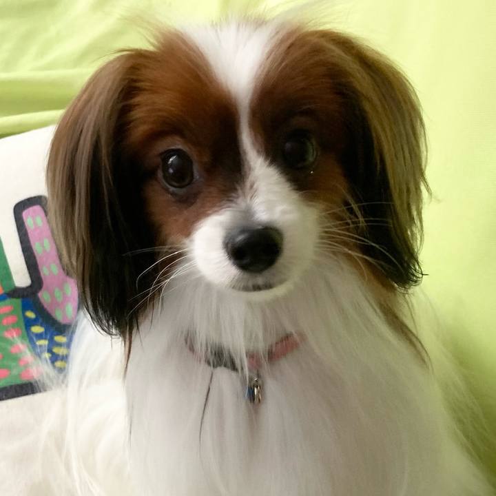 12ab3cae 9e50 4704 8742 2ed6b9f678d3 1640144212826