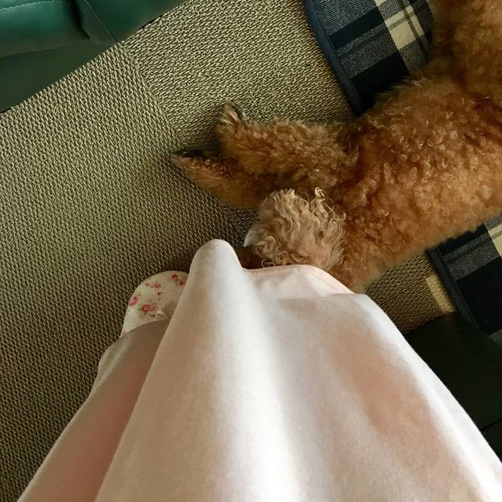 12ab786d 390e 4a96 82db 0a325c36e11e 1530361526400