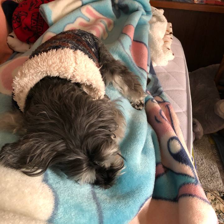 12abad4e 4c49 49ff 8920 6e357fc325dd 1677377408005