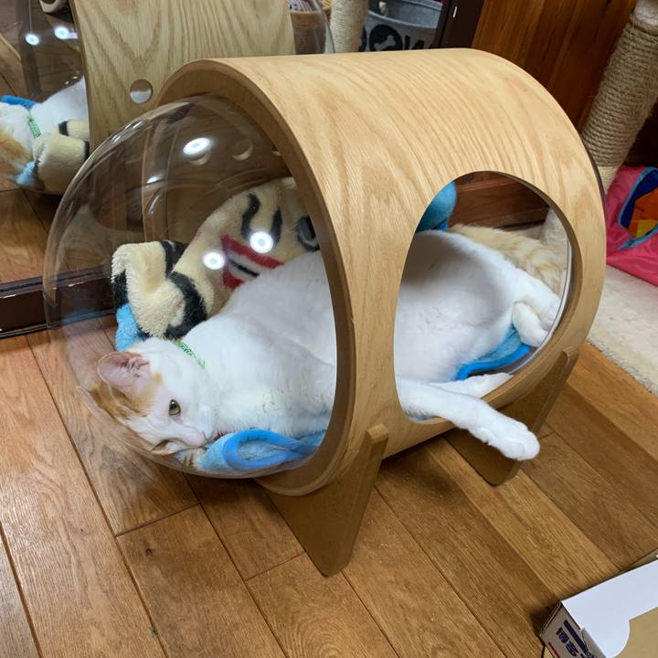 12abb55b 6d46 4e0e a6d2 f2d1891c2074 1581082280413