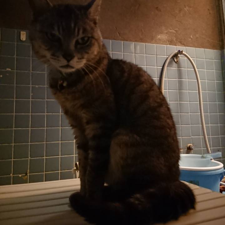 12abc430 bc6f 4cfd 8bf2 edf91488358f 1562927193317