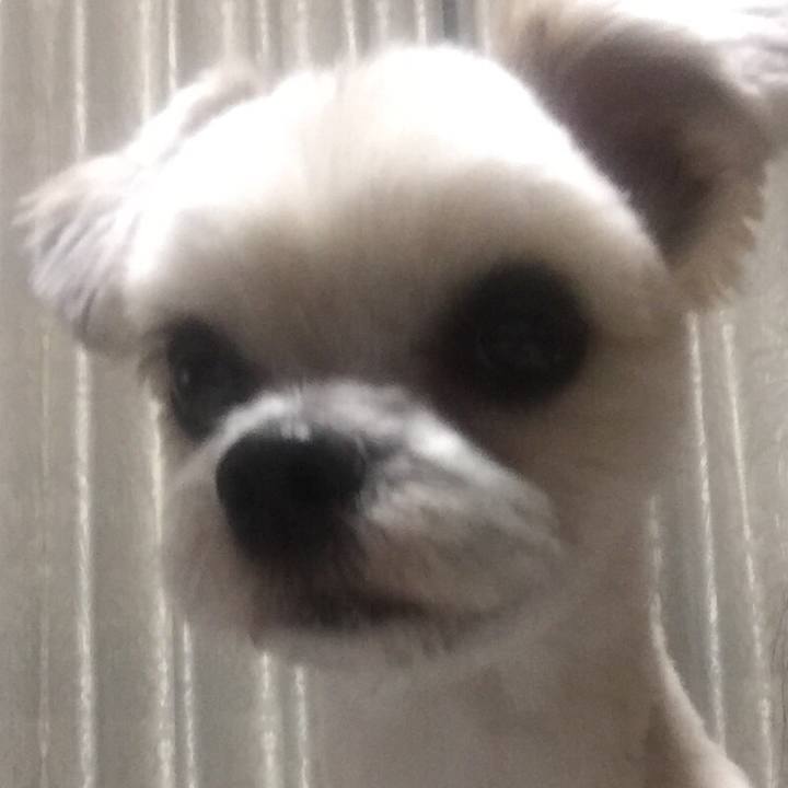 12ac032a fc1b 497a 87ed 4eed06af0d19 1549543568666