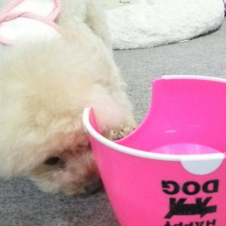 12ac075f 54c8 4df4 80d2 28a42ed8eba7 1550055859963