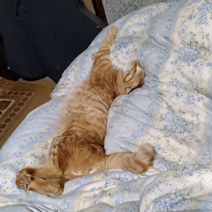 12ac3db9 11c0 4454 837b c9dac6d4f347 1665837072861