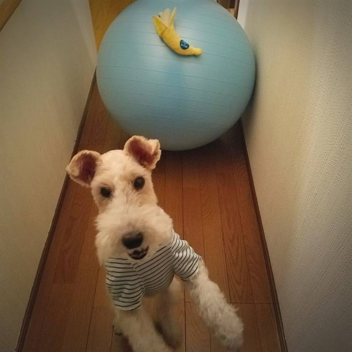 12ac5b36 c3f9 4b65 909f 98ab02f01357 1536322781784